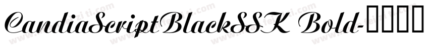 CandiaScriptBlackSSK Bold字体转换
